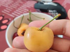 刺身寿司小拼-额尔敦牛厨师铜板烧