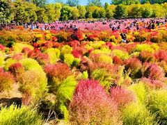 -北京奥林匹克公园