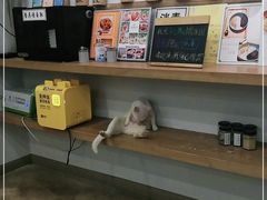 -正南齐北·老街糯米团(洪崖洞店)