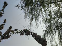 -元大都城垣遗址公园