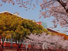 -永乐路-路侧停车场