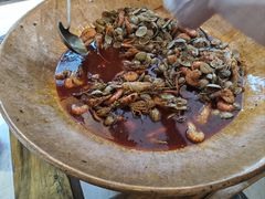 -地中海传奇水汇