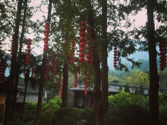 法喜寺-杭州上天竺法喜讲寺