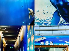 -海游荟·海洋文化餐厅(福田店)