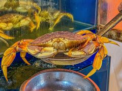 -广记海鲜(杨汊湖一店)