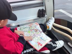 -BUS TOUR观光巴士