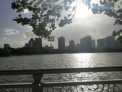 -莲花池公园