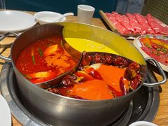 -青瓷火锅料理(西单大悦城店)