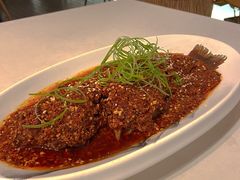 -云里小坐·小院里·团建·宴请·下午茶(三圣乡店)