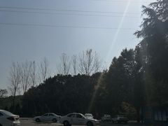 -狮麟驾校