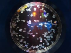 -太平洋海底世界