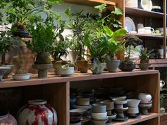 -自由生长植物工作室(深港花卉中心店)