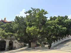 -广东圆玄道观