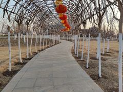 -汉梁文化公园