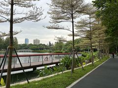 -四海公园(南山区)