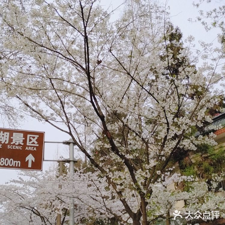 南京打卡#景区#