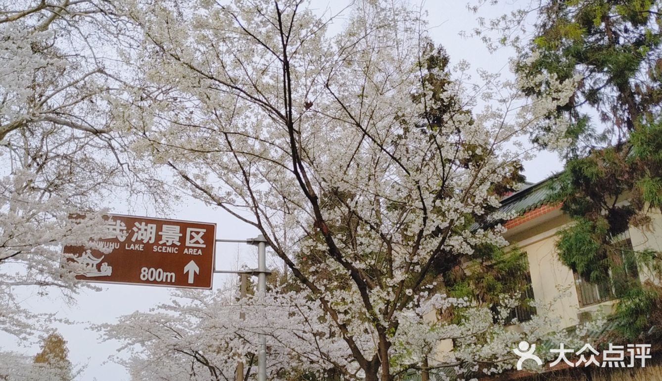 南京打卡#景区#