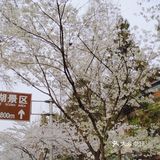 南京打卡#景区#