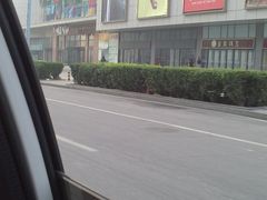 -中原麦购时代广场(南市店)