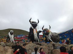 -松赞干布出生地