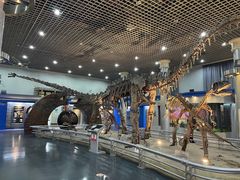 -国家自然博物馆