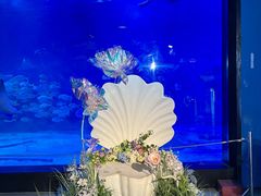 -烟台海昌鲸鲨海洋公园