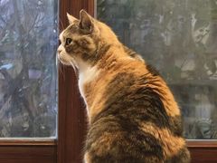 -隅cafe(傅厚岗店)