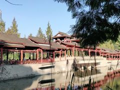-重庆彩云湖湿地公园