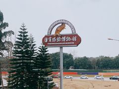 -自贡恐龙博物馆