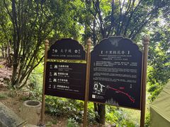 -武当山风景区-太子坡