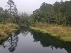 -海南热带雨林国家公园吊罗山景区
