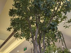 -春家·非遗手工小吃(徐汇万科广场店)