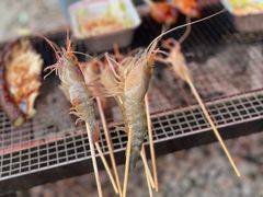 -大象营野Life营地·钓虾(坦尾店)