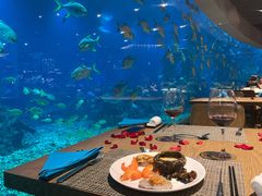 -海棠湾洲际-涛·海底餐厅·美人鱼·自助餐·海底隧道