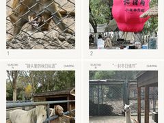 -长白岛森林公园