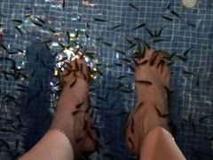 -水晶之星洗浴温泉汗蒸