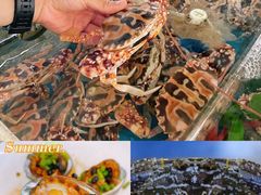 -四川小胡子海鲜(丁村万人海鲜广场店)