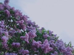 -中华世纪坛