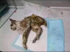 盛京一禾-盛京一禾