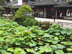 -上海醉白池公园