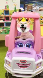 -莫莉幻想儿童乐园(郑州丹尼斯三天地店)