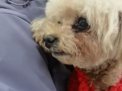 -美联众合动物医院·24h京西诊疗中心
