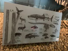 -浙江自然博物院(杭州馆)