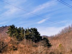 -抱龙峪