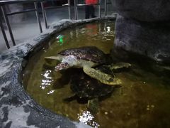 -北海·海洋之窗