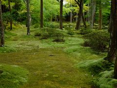 -西芳寺(苔寺)