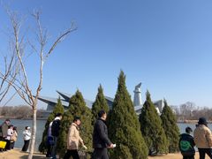 -盐城丹顶鹤湿地生态旅游区