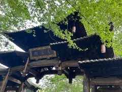 -兰边碗(鼓楼店)