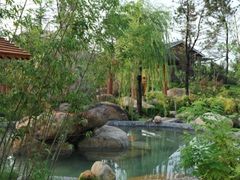 -汤泊温泉度假村