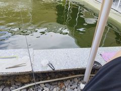 -DGE季风钓虾营地·团建·聚会